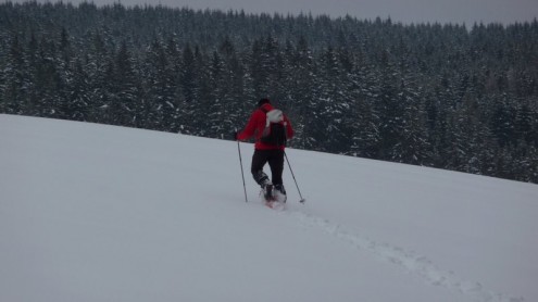 Schneeschuhwanderung