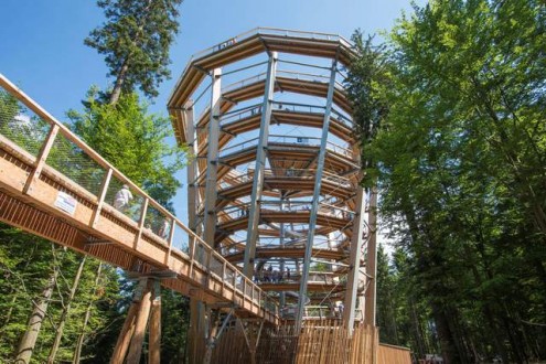 Baumwipfelpfad