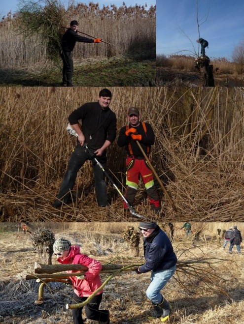 arbeit_collage