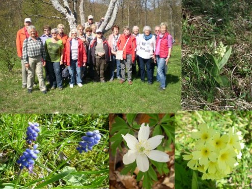 seniorenapril2016