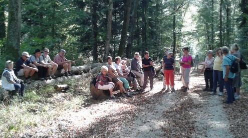rast_salmendingen