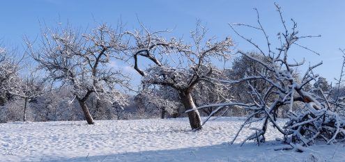 Foto Winterwanderung