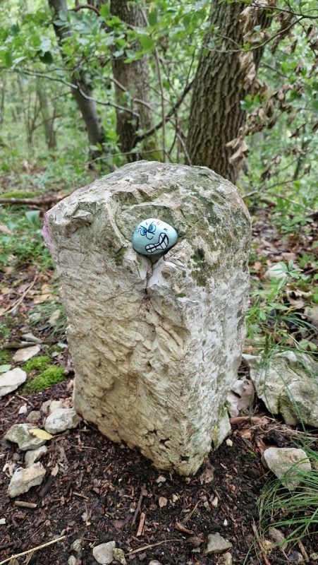 Albstone_Hunde_Holzelfingen